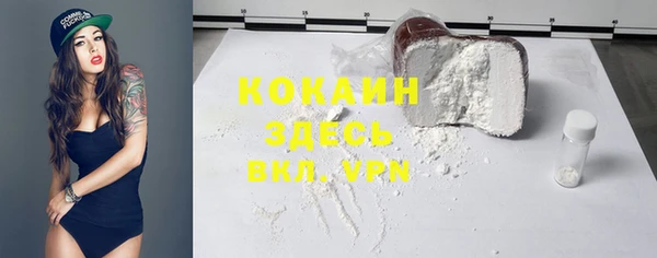 МДПВ Новозыбков