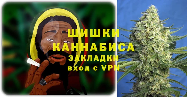 МДПВ Новозыбков
