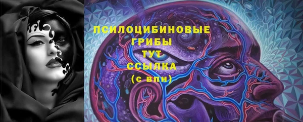 МДПВ Новозыбков